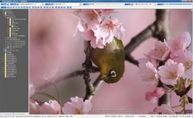 リスト表示